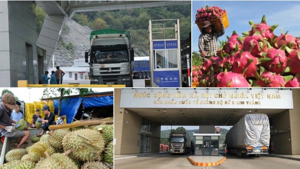 Vietnamese exports to China up 7.5% to US$35 billion in seven months